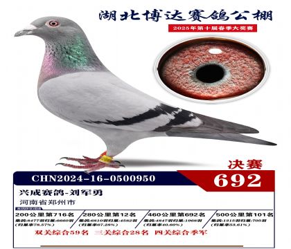 博達春棚決賽692名
