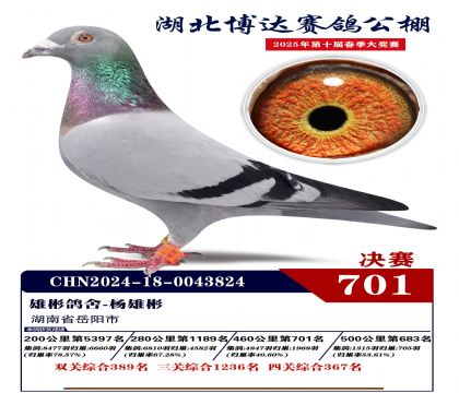 博達春棚決賽701名