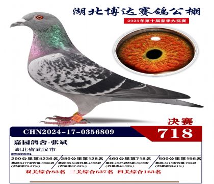 博達春棚決賽718名