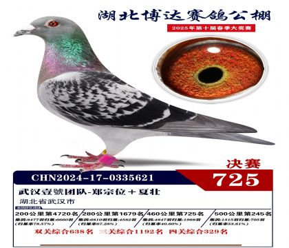博達春棚決賽725名
