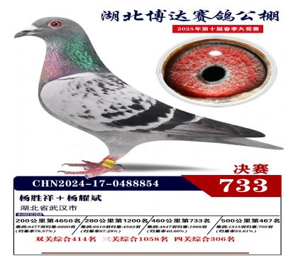 博達春棚決賽733名