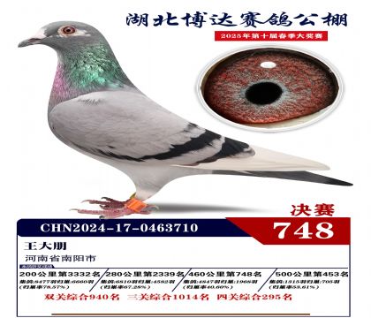 博達春棚決賽748名