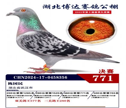 博達春棚決賽771名