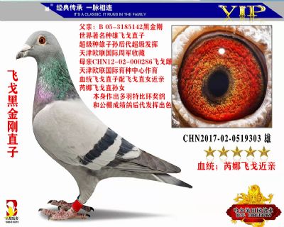 飛戈黑金剛直子303