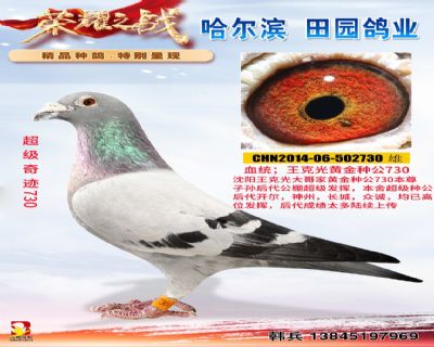 游