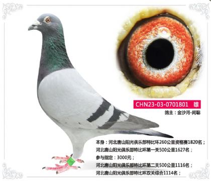 金沙河-閔聰---唐山陽光俱樂部特比環(huán)雙關(guān)綜合1114名