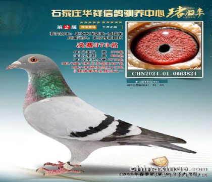 A鹫Qِ373  50066ȫƽ݅