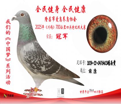 1薛康2024-22-0476403雌雨黃