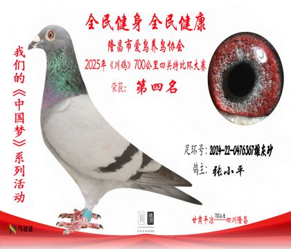 4張小平2024-22-0476367雄灰砂