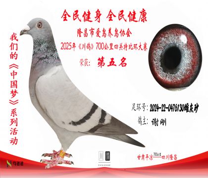 5謝剛2024-22-0476130雌灰砂