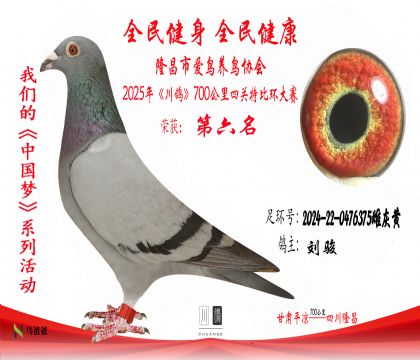 6劉駿2024-22-0476375雌灰黃 拷貝