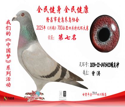 7曾濤2024-22-0476422雌灰砂 拷貝