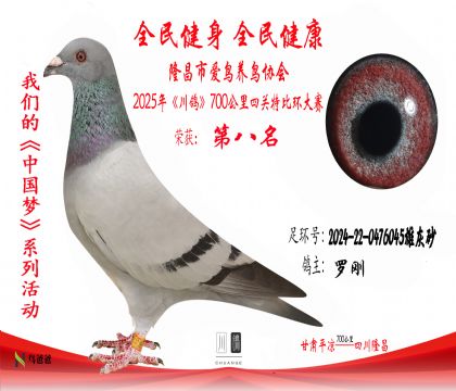 8羅剛2024-22-0476045雄灰砂 拷貝