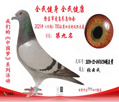 9張云成 2024-22-0476124雌灰黃