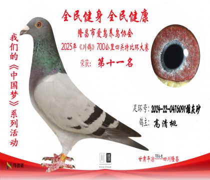 11高清桃2024-22-0476091雄灰砂