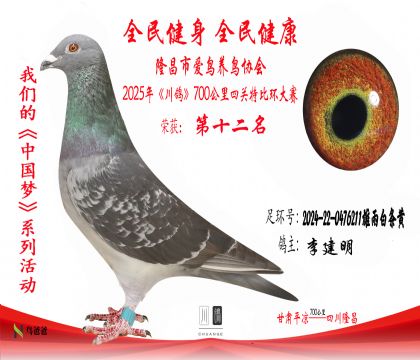 12李建明2024-22-0476211雄雨白條黃