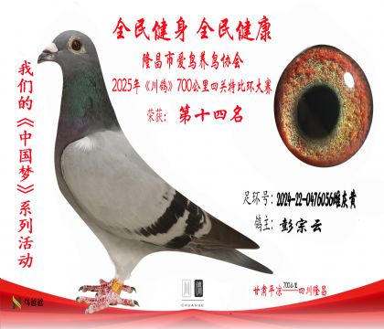 14彭宗云2024-22-0476056雌灰黃