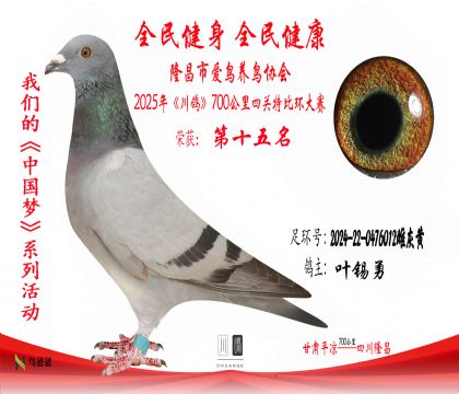 15葉錫勇2024-22-0476012雌灰黃