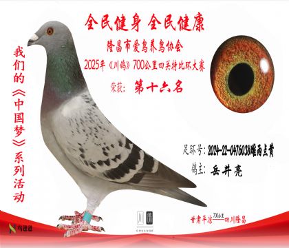 16岳井亮2024-22-0476038雌雨點黃