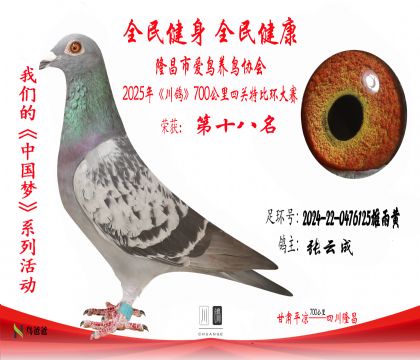 18張云成2024-22-0476125雄雨黃