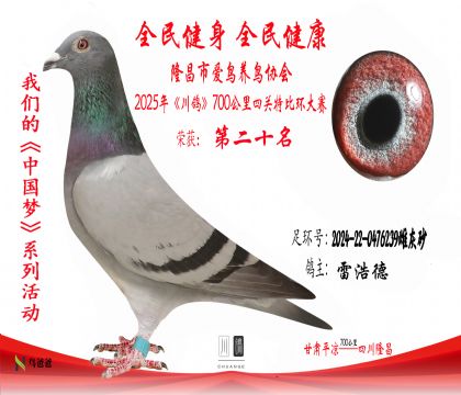 20雷浩德2024-22-0476239雌灰砂