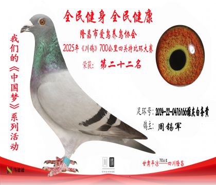 22周錫軍2024-22-0476166雄灰白條黃