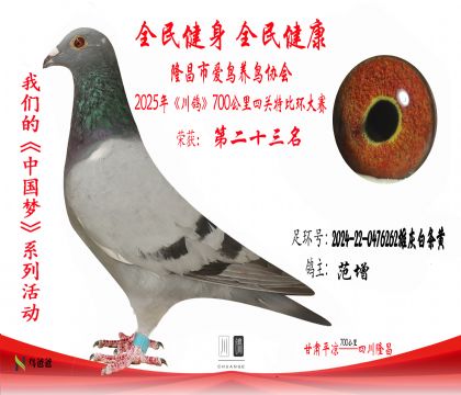 23范增2024-22-0476262雄灰白條黃