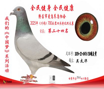 24吳太華2024-22-0476 158雌灰黃