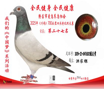 27洪家銀2024-22-0476202雄灰黃