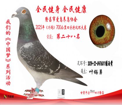 28葉錫勇2024-22-0476011雄雨黃