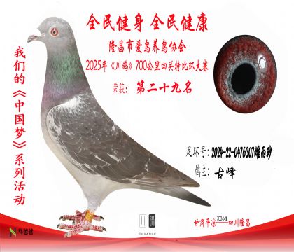29古峰2024-22-0476307雌雨砂