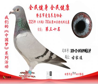 30古家連2024-22-0476099雌灰砂