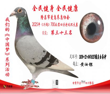 33黃汝銀2024-22-0476257雄灰白條砂
