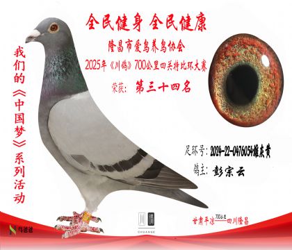 34彭宗云2024-22-0476054雄灰黃