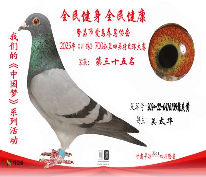 35吳太華2024-22-0476159雄灰黃