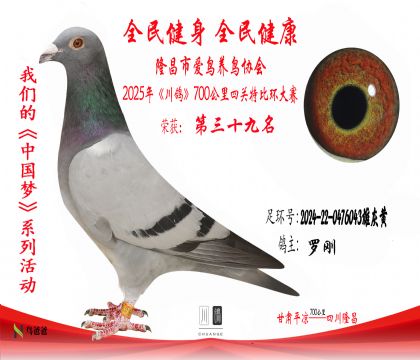 39羅剛2024-22-0476043雄灰黃