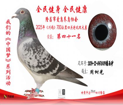 41周樹光2024-22-0476109雄雨砂