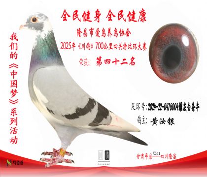 42黃汝銀2024-22-0476004雄灰白條牛