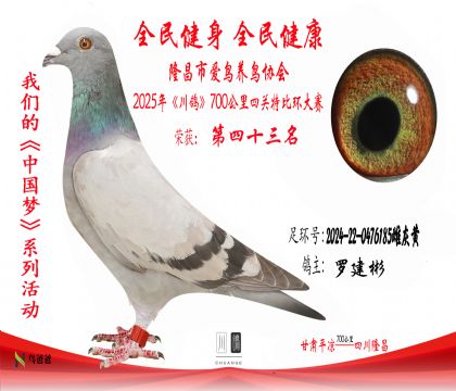 43羅建彬2024-22-0476185雌灰黃