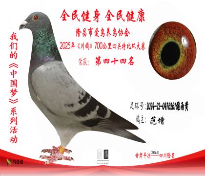44范增2024-22-0476261雄雨黃