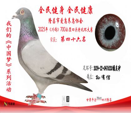 46孫有信2024-22-0476220雄灰砂