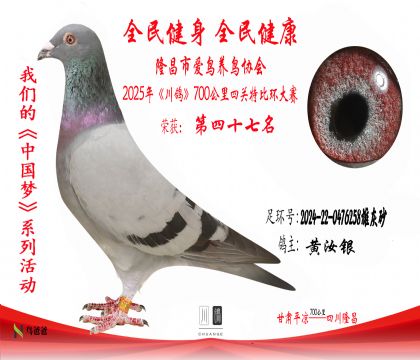 47黃汝銀2024-22-0476258雄灰砂