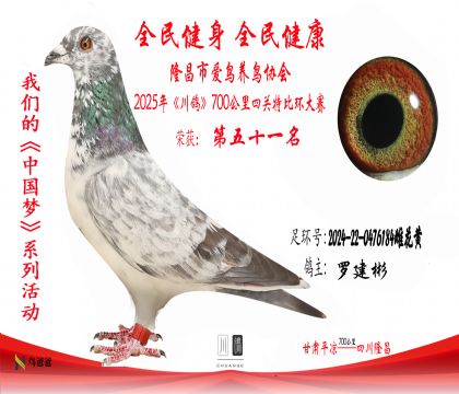 51羅建彬2024-22-0476184雌花黃