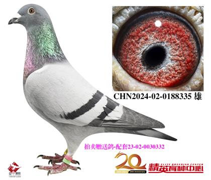uٛ(zng)