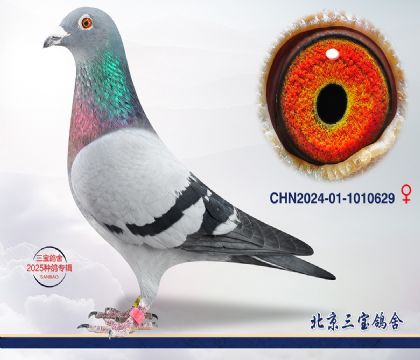 10.ҽѪ.1010629