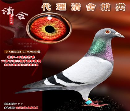 3333̖-_(chung)ِ