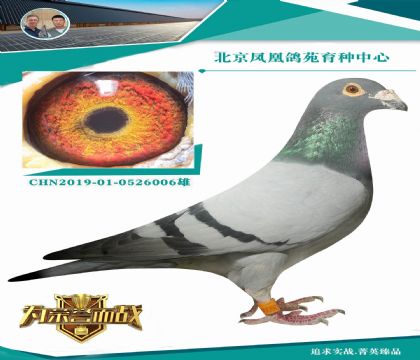 年輕藝術(shù)家直孫X胡本“300萬(wàn)灰杰夫”直女