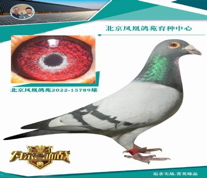 “超級(jí)麥克斯”X“奧林匹克006全妹”