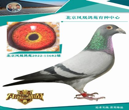 堪稱全世界最好的西翁