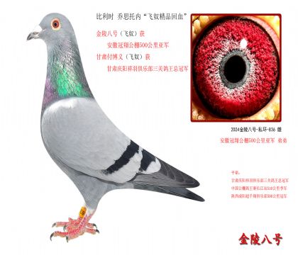 3r(sh) ˼Ѓ(ni)wūƷѪ